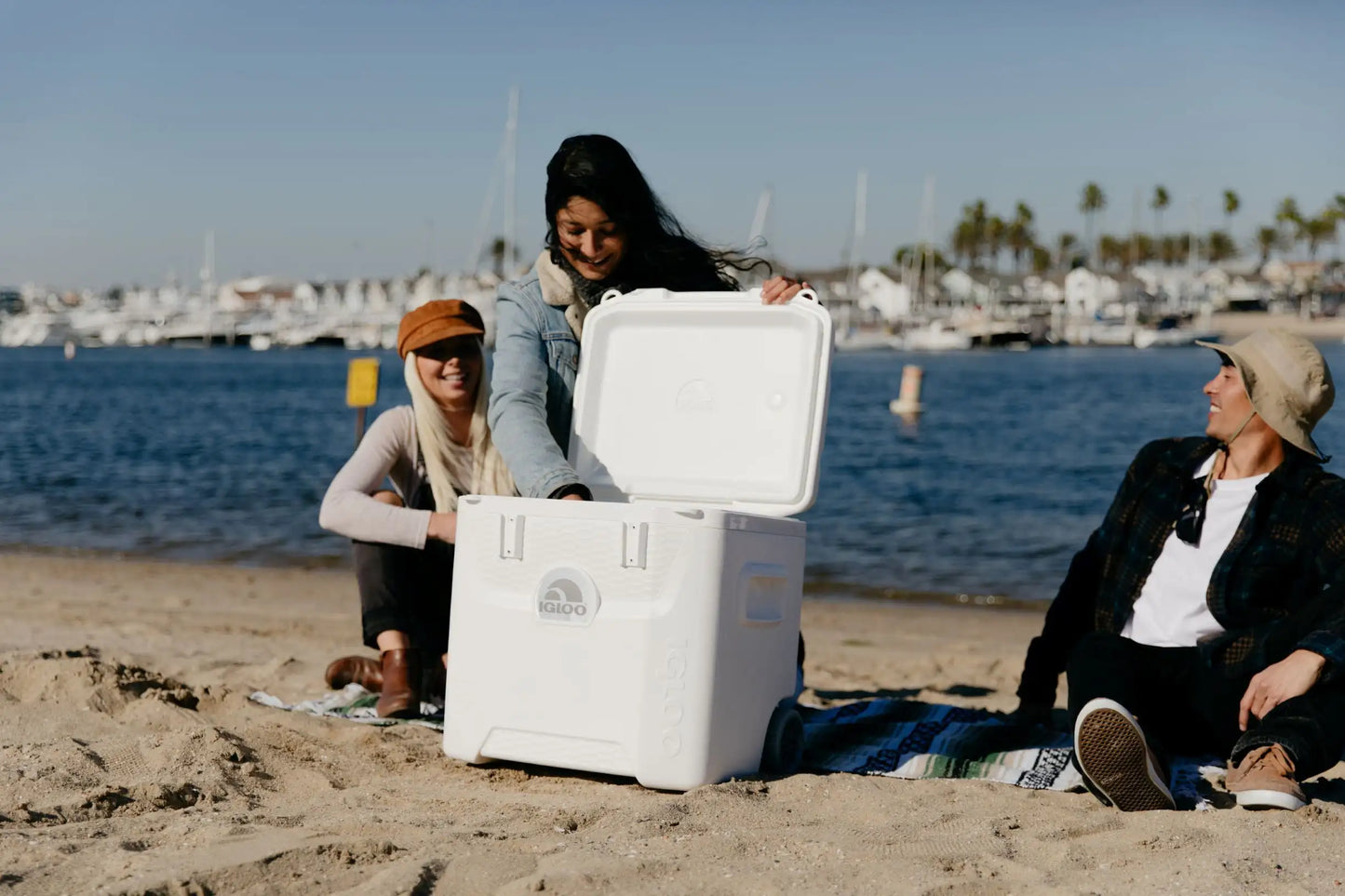 Igloo 52 QT 5-Day Marine Ice Chest Cooler with Wheels, White Igloo 52 QT 5-Day Marine Ice Chest Cooler with Wheels, White