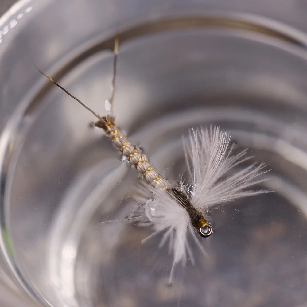 ICERIO 6PCS CDC Mayfly Deerhair Body Dry Flies Trout Fishing Fly Lure Baits #12