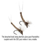 ICERIO 6PCS CDC Mayfly Deerhair Body Dry Flies Trout Fishing Fly Lure Baits #12