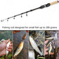 1.8M 1.98M Carbon MINI Ultra Light ul Power Telescopic Fishing Rod Casting Spinning Pocket Rod Test 1-5g Stream Small Fish Pole