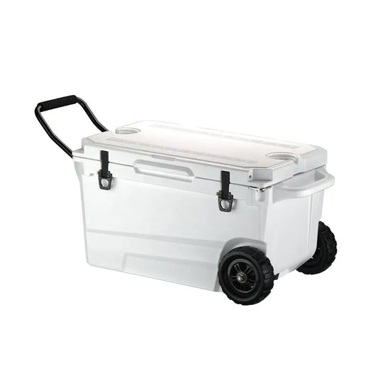 China Trendy Modern 55 Liter Portable Fishing Beer Car Wine Plastic Hard Ice Chest Cooler Box