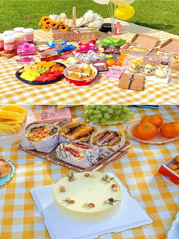 Lightweight Quick Drying Beach Blanket Picnic Blanket Waterproof Outdoor Tote Mat for Travel Camping Beach Family Party