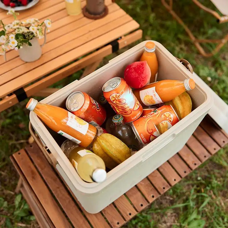 Camping Coolers 9L Insulated Cooler With Heavy Duty Handle Small Hard Cooler Insulated Ice Chest For Ice Retention Cooler Box