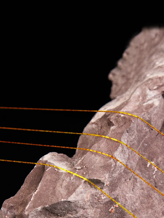 100M Gold Spotted Fishing Line Bionic Invisible Monofilament Nylon Speckle Fluorocarbon Coated Carp Fishing Line