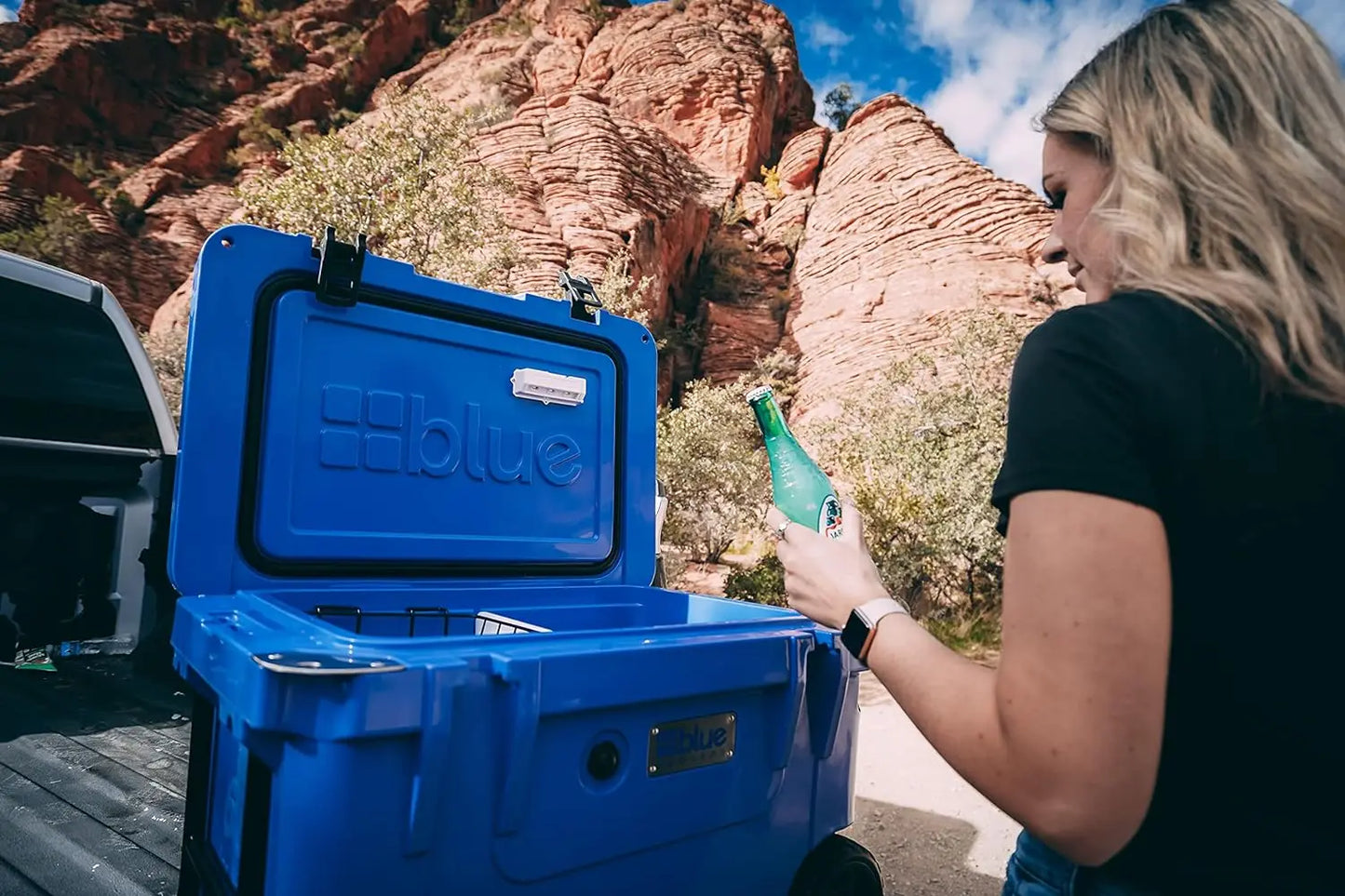 Blue Coolers Ice Vault – 60 Quart, Roto-Molded  Cooler  Large Ice Chest Holds up to 10 Days