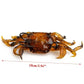 Bionic Crab Silicone Soft Bait Artificial Lifelike Fishing Lure 100mm 19g Freshwater Fish Jig Head Baits For Fishing Tackle